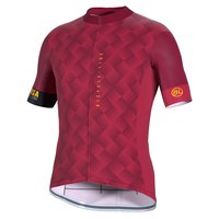 bicycle-line-conegliano-short-sleeve-jersey