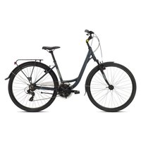 coluer-cykel-bahia-721-28-2022