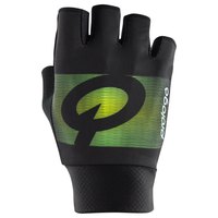 Prologo Faded Gloves